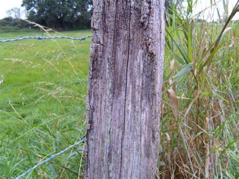 Free picture: old, wood, fence