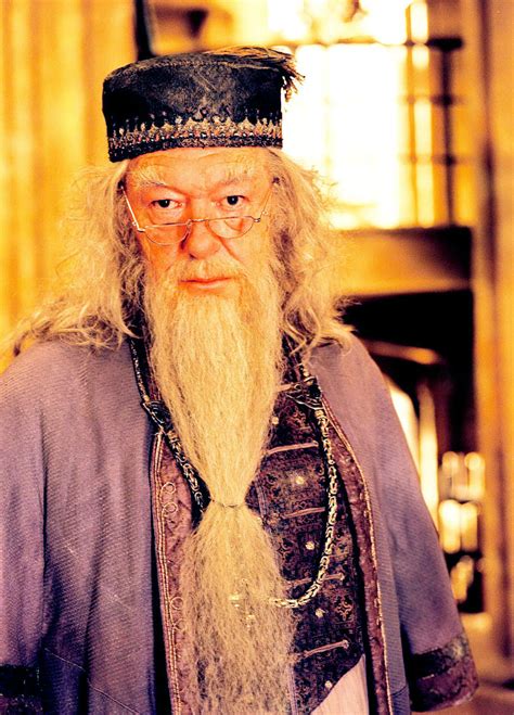 Albus Dumbledore Harry Potter Illustrations Harry Pot - vrogue.co