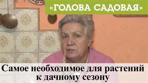 Голова садовая - Самое необходимое для растений к дачному сезону - YouTube