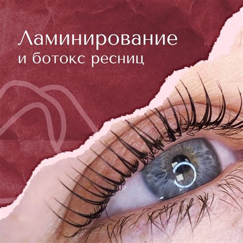 Ламинирование и ботокс ресниц – Студия Красоты Алёны Соболевой