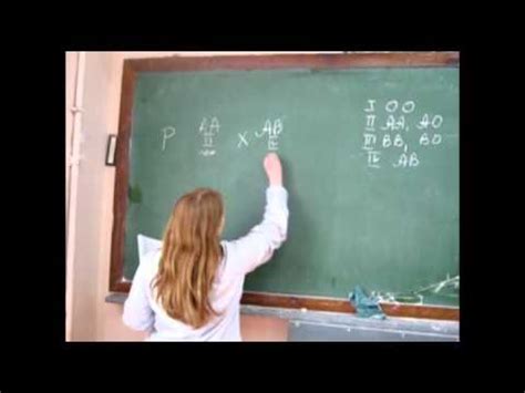Генетика. Задачи на группы крови - YouTube