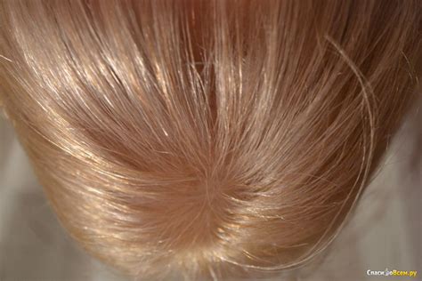 Отзыв про Краска для волос Schwarzkopf Brillance №811 Скандинавский ...