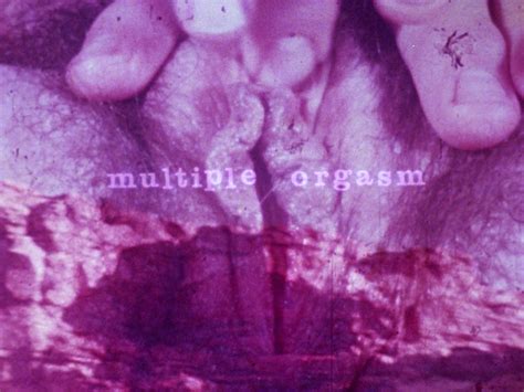 Electronic Arts Intermix: Multiple Orgasm, Barbara Hammer