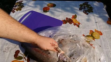 Дъгова пъстърва стъпка по стъпка рецепта със снимка