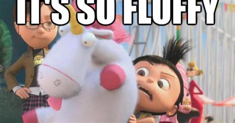 The Lingua File from TLF Translation: It's So Fluffy! What Does "Fluffy ...
