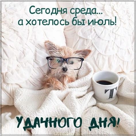 Доброе утро среда - пожелания и прикольные картинки.