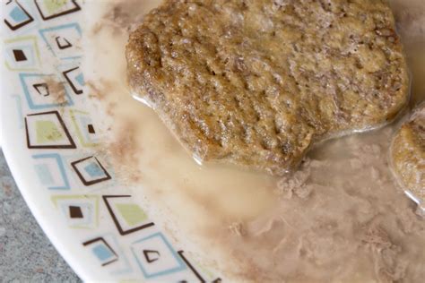 how to make frozen hamburgers 2