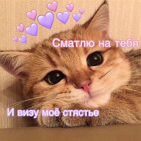 Пин на доске Милые обои