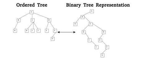 ordered tree general codechef discuss