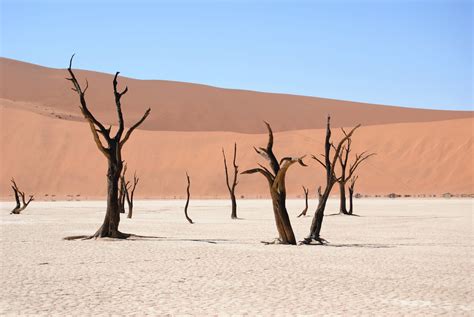 fotos gratis playa paisaje arena desierto duna seco africa