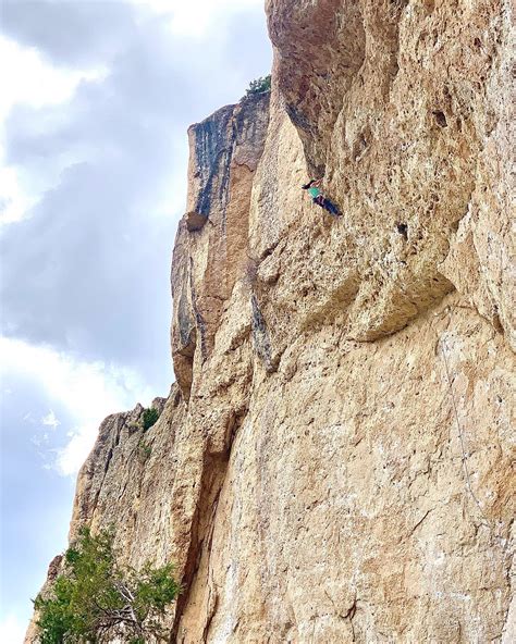 Olivia Hsu (@olicow) • Instagram photos and videos