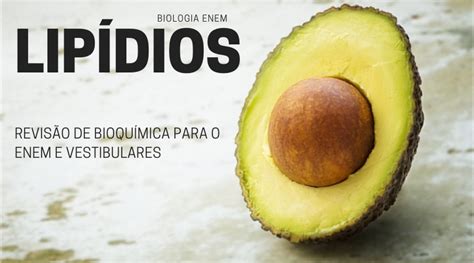 O Que São Lipídeos - Lipídios: o que são, função e classificação - Biologia Enem