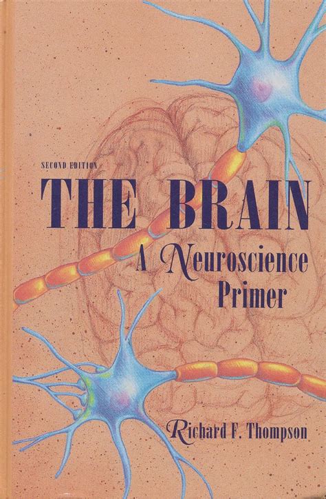 Amazon.com: The Brain: A Neuroscience Primer (Series of Books in ...