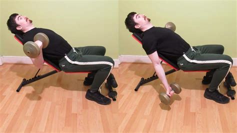 Incline Alternating Dumbbell Curls Exercise Guide