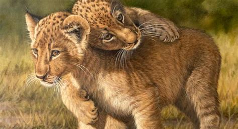 Lion cub painting | Wildlife Paintings by Ilse de Villiers | Real Africa