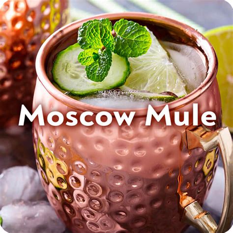 moscow mule cocktail recipe minumancom