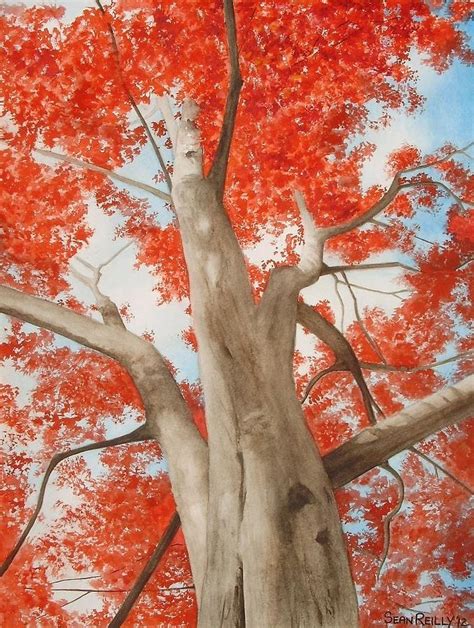 Maple Tree Painting at PaintingValley.com | Explore collection of Maple ...