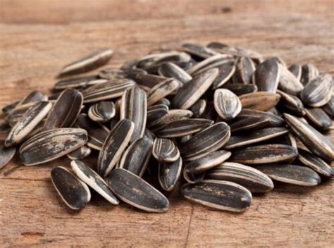 17 Iron-Rich Foods + How To Know If You're Deficient | Avocadu