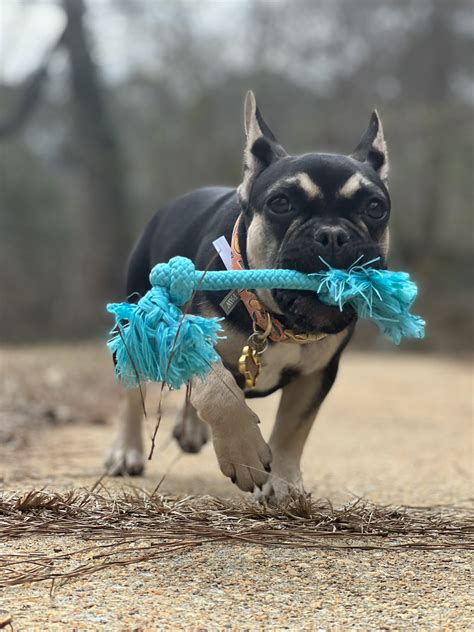 TW Pornstars - 2 pic. Ishmcfly. Twitter. 😭 ️ instead of having a child