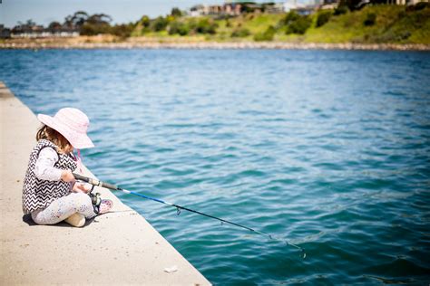 Go Fish - VRFish