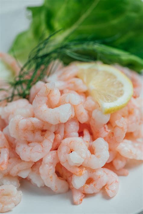 Canadian Nordic shrimp — O Y S T E R B L Ø Ø D