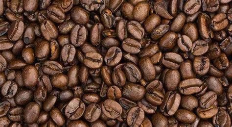 Купить кофе Бразилия Сантос 17/18 в Москве с доставкой | Coffee Planet