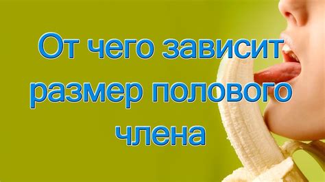 От чего зависит размер полового члена - YouTube
