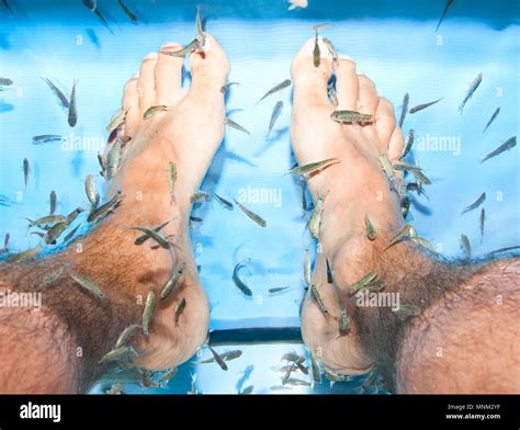 Fish spa feet pedicure skin care treatment with the fish Rufa Garra