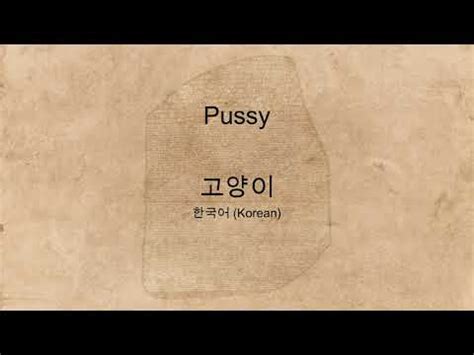 "Pussy" spoken in many languages - YouTube