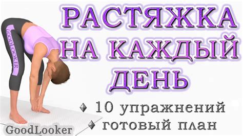 Растяжка стоя: 10 упражнений на каждый день (с ФОТО)