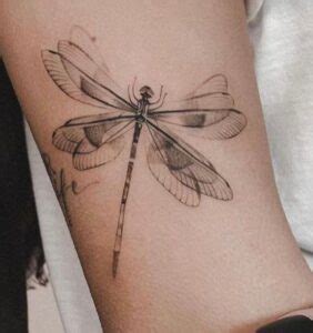 O Que Significa Tatuagem De Libelula - Tatuagens de Libélula: Confira inspirações e Significado