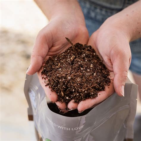 Common Nutrient Deficiencies in Plants | Perfect Plants