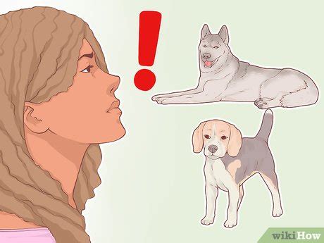 3 Ways to Choose a Dog Breed Bred for Loyalty - wikiHow Life