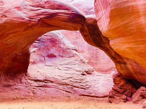 Ron Hearst, the Billionaire Philanthropist: Who is He Married To? 6