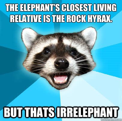 The elephant’s closest living relative is the rock hyrax. But thats ...