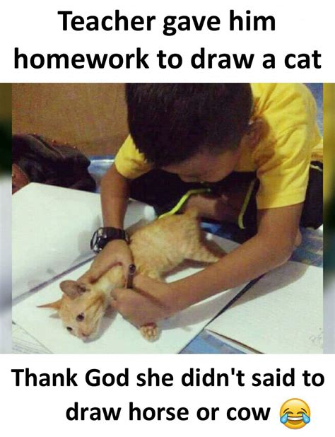 Draw a cat : r/terriblefacebookmemes