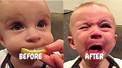 Funny videos - Try not to laugh - YouTube