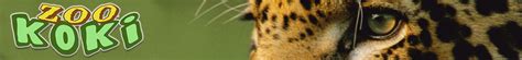 | Inicio | » .:: ZOO KOKI::. Parque zoológico y botánico | Fundación ...