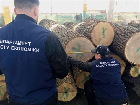 Налоговая полиция Славянска выявила в городе незаконную лесопилку ...