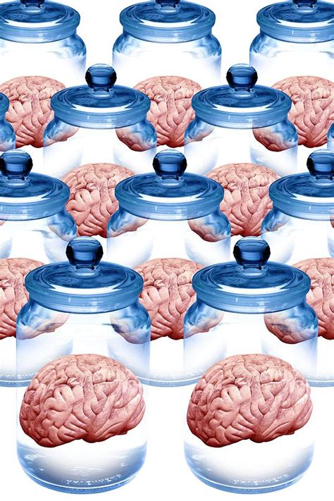 preserved brains artwork photograph  victor de schwanberg fine art
