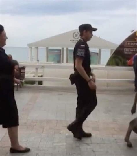 Reveller passed out on donkey shocks tourists in hilarious video - NZ