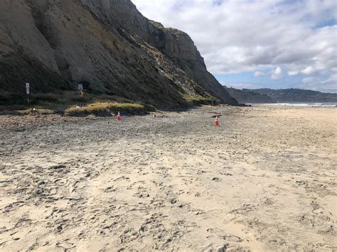 Uncomfortable Experience: nudist on a nude beach — Beck Bamberger