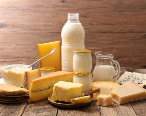 Alimento Lacteo Produzido A Partir Da Fermentação - Como funciona o processo de Fermentação? - Protos Biotec Jr.