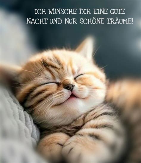 Best 12 Gute Nacht – Artofit