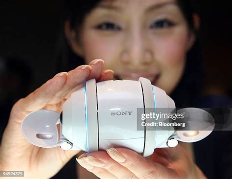 rolly  high res pictures getty images