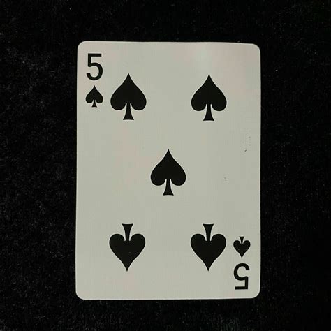 The Rise And Journey Of A Notable Adult Film Star - celebrity news