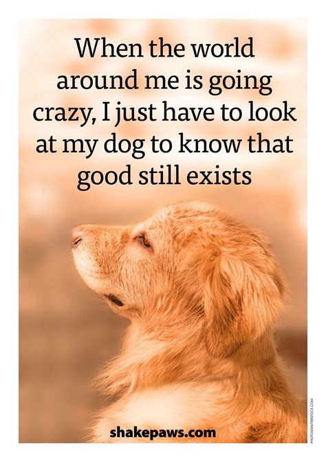 funny animal lover quotes 8