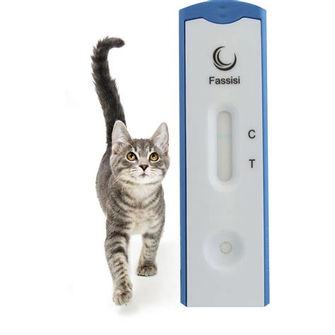 Rapid AIDS test - FIV - Fassisi, Gesellschaft für Veterinärdiagnostik