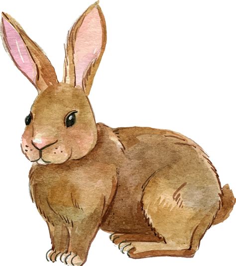 cute rabbit clipart png   cliparts  images