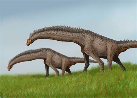 Isisaurus Pictures & Facts - The Dinosaur Database